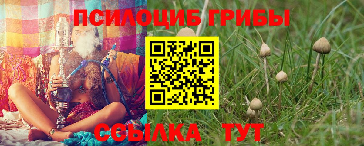 Псилоцибиновые грибы Magic Shrooms  Вход с VPN  Королёв 